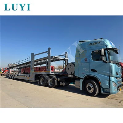 Processo di zincatura che trasporta 8 semirimorchi per trasporto auto